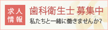 求人情報 歯科衛生士 募集中 私たちと一緒に働きませんか?