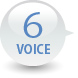 VOICE5