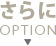 OPTION