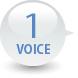 VOICE1