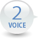 VOICE1