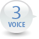 VOICE2