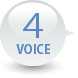VOICE3
