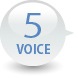 VOICE4