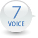 VOICE6